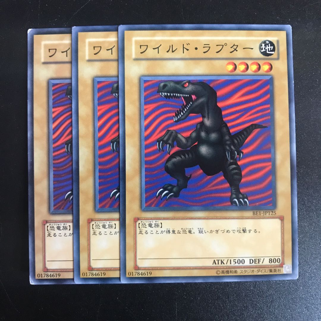 ワイルドラプター