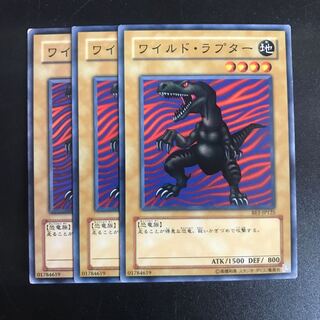 ワイルドラプター