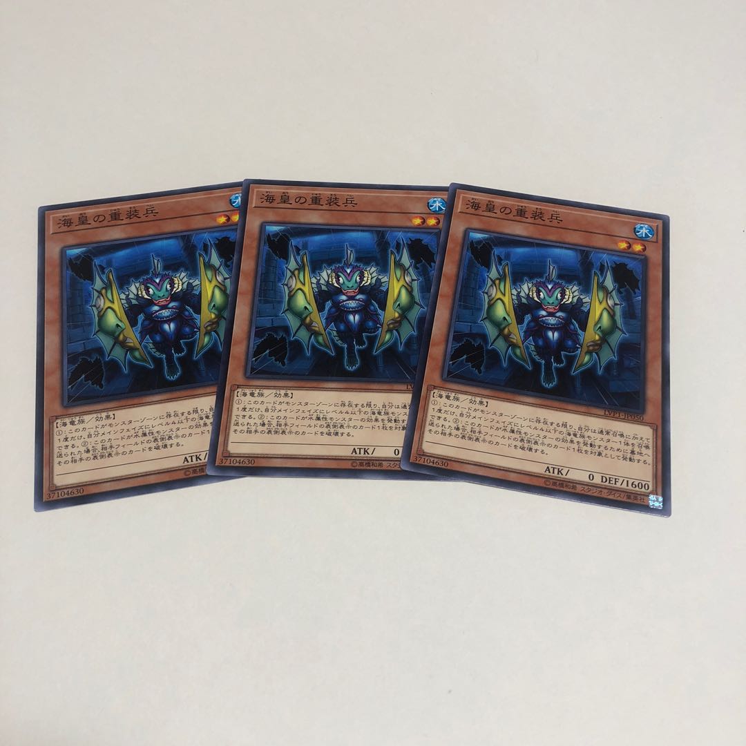 海皇の重装兵 N