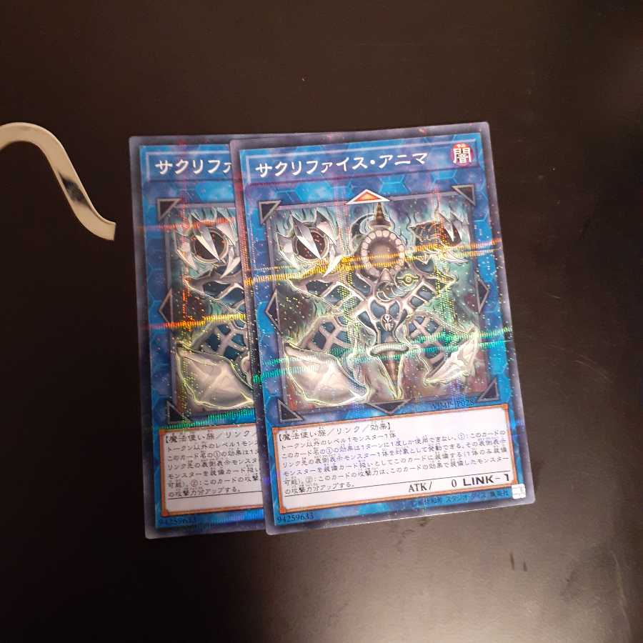 サクリファイス・アニマ　wstorm