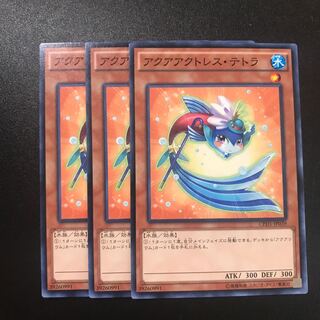 アクアアクトレス・テトラ N