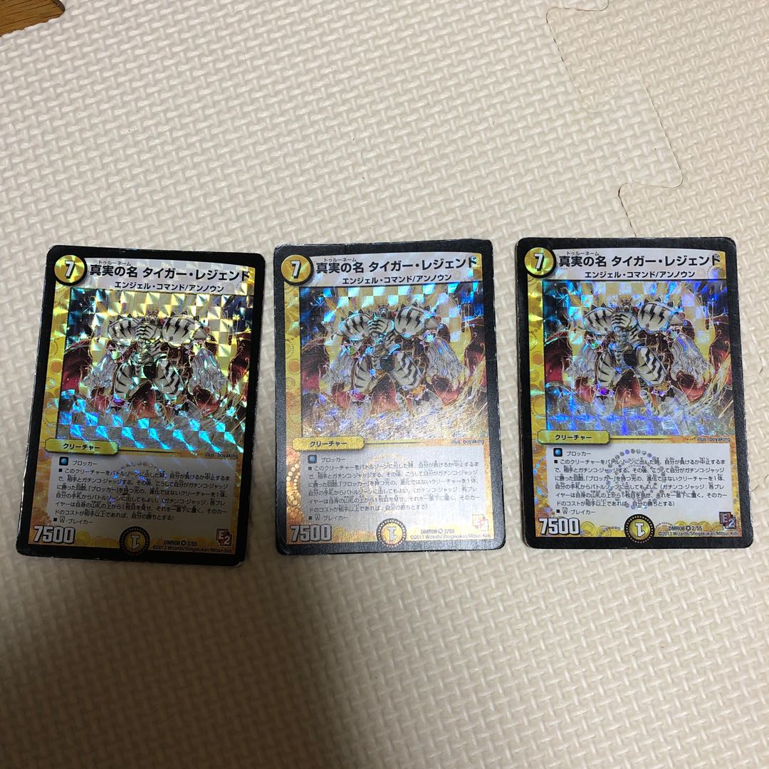 真実の名 タイガー・レジェンド VR