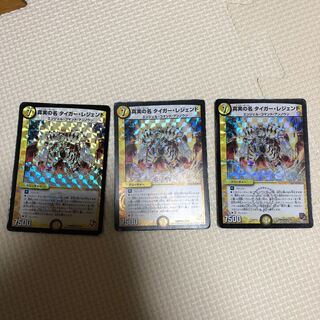 真実の名 タイガー・レジェンド VR