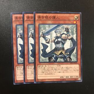 青き眼の護人 N