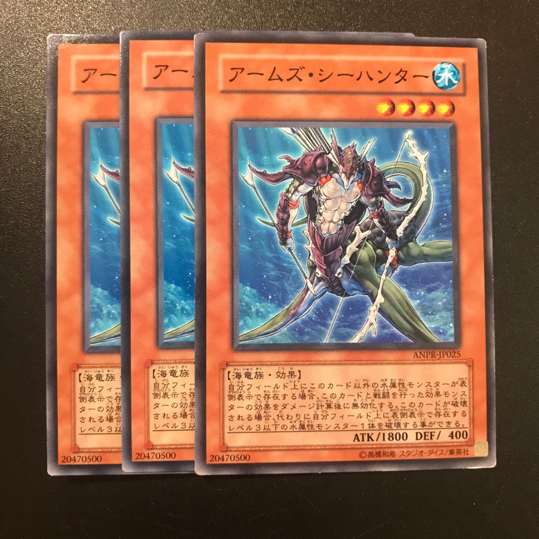 アームズ・シーハンター N