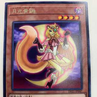 ムーンライト・イエロー・マーテン