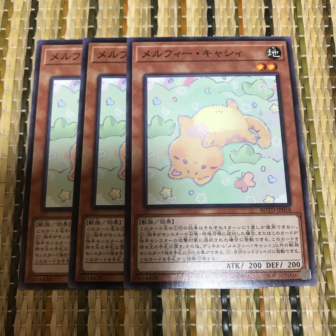 マドレース メルフィー・キャシィ N