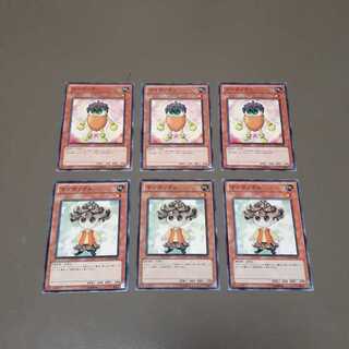 コロボックリ、マツボックル(N)