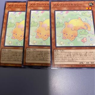 メルフィー・キャシィ　3枚