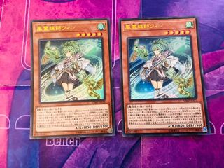 風霊媒師ウィン