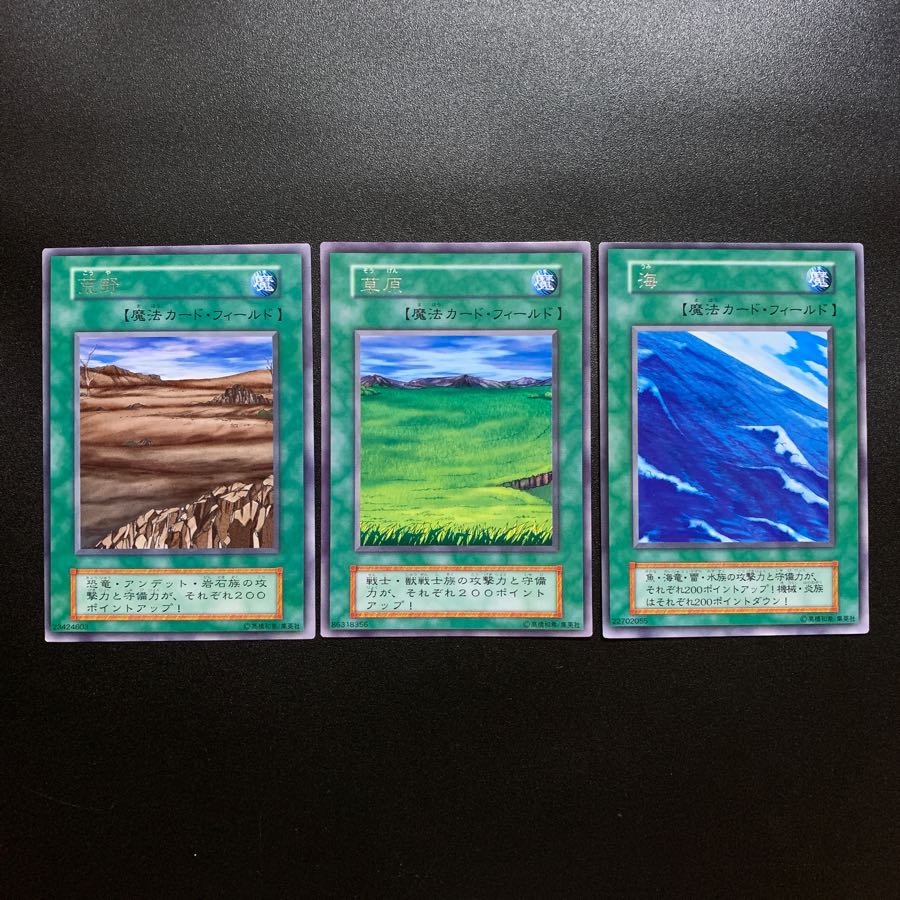 フィールド魔法セット(荒野、草原、海 )