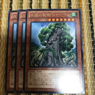 マドレース 森羅の賢樹 シャーマン R