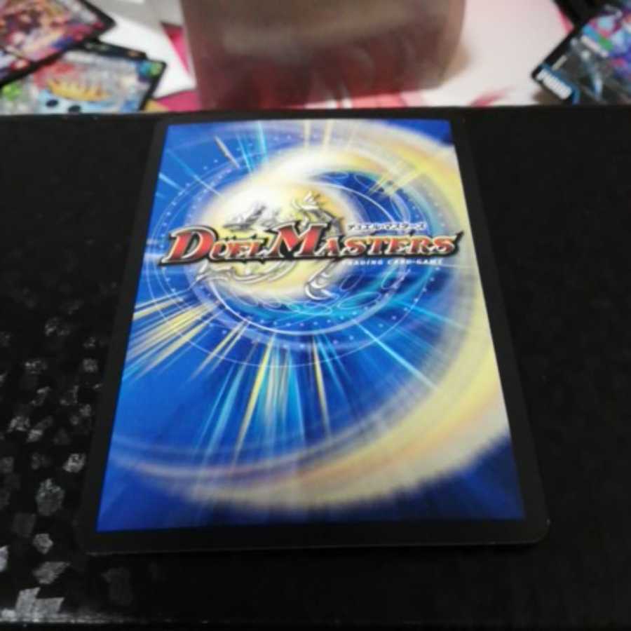 傷有り特価!!雷龍 ヴァリヴァリウスシク