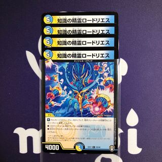 知識の精霊ロードリエス　４枚