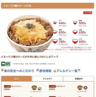 チー牛1杯分 画像2枚目が商品 (Used) （962571420）| magi -TCG