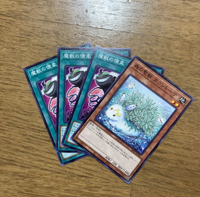 魔獣の懐柔　カラントーサ