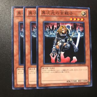 異次元の女戦士 N