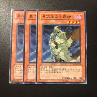 異次元の生還者 N