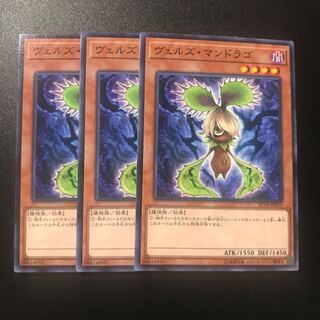 ヴェルズ・マンドラゴ N