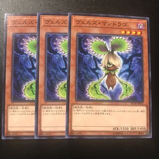 ヴェルズ・マンドラゴ N