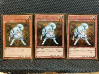 【ぽぽたん】遊戯王 -2277 ライトロード・ハンター ライコウ 3枚 ゴールド