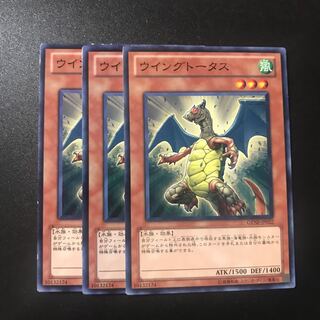 ウイングトータス N