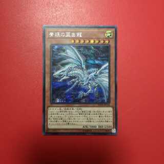 青眼の亜白龍 SE