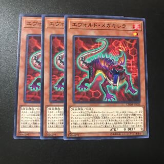 エヴォルド・メガキレラ N