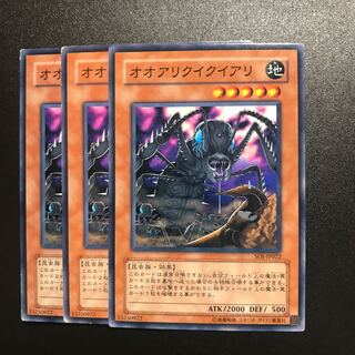 オオアリクイクイアリ