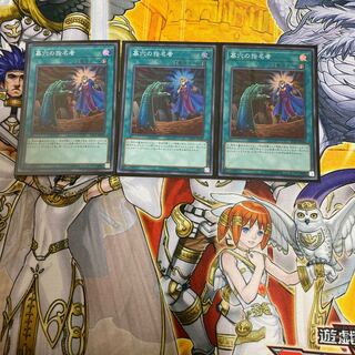 ◉墓穴の指名者 SR 3枚セット