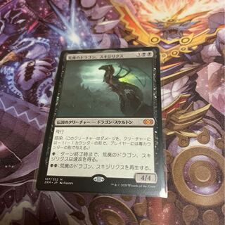 荒廃のドラゴン、スキジリクス