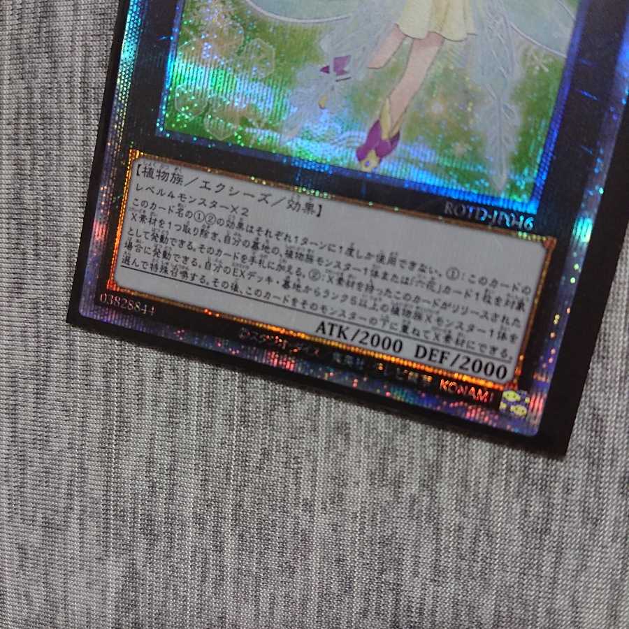 六花聖ストレナエ【プリズマティックシークレット】{ROTD-JP046}