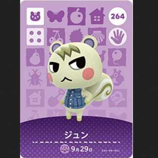 amiiboカード ジュン 国内正規品 あつまれどうぶつの森