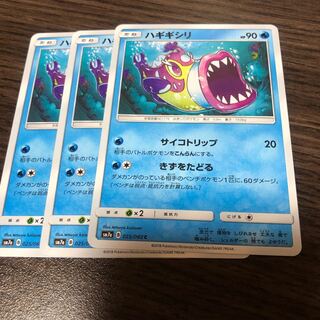 ハギギシリ 3枚