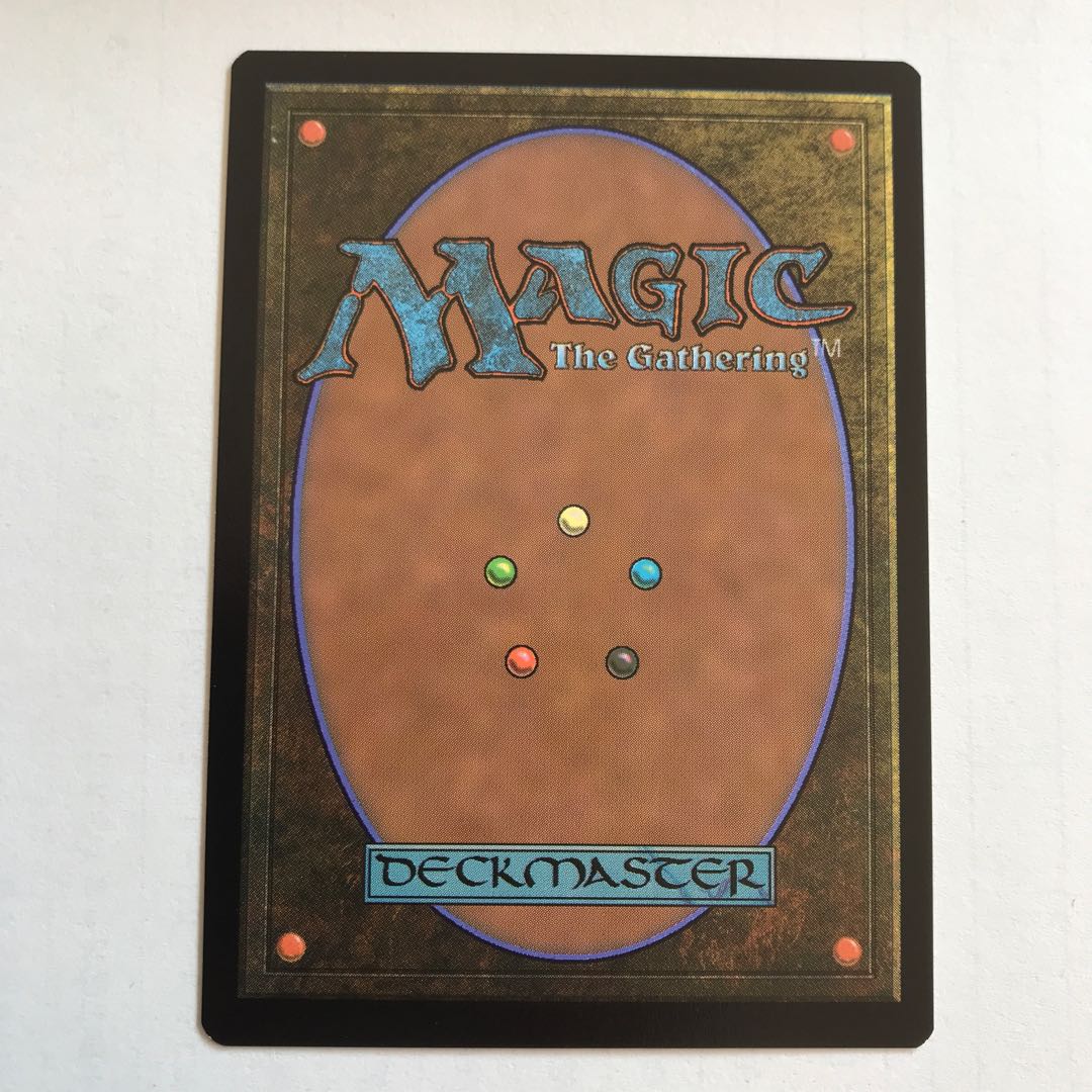 Allosaurus Shepherd 1枚 アロサウルス飼い