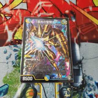 「雷光の聖騎士」