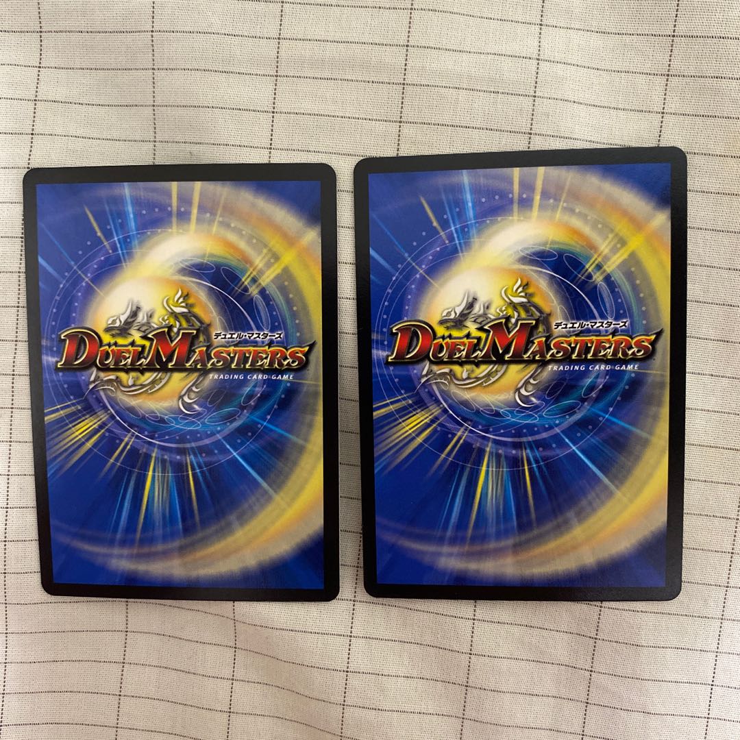 秩序の意志 R 2枚