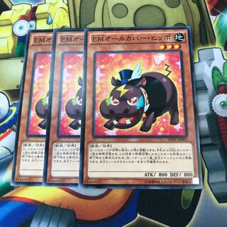 EMオールカバー・ヒッポ　3枚