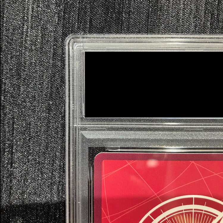 [PSA10] Monkey D. Luffy (Anime Rosa Finale) [L] {ST01-001} 1枚