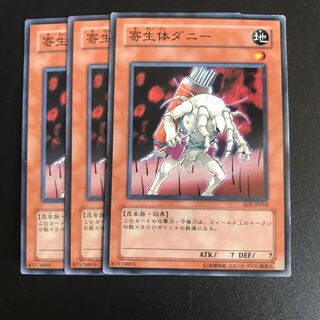 寄生体ダニー N