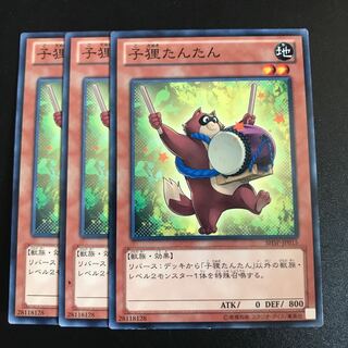 子狸たんたん N