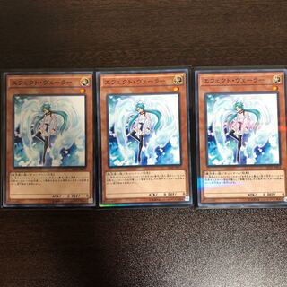 エフェクト・ヴェーラー P-N 3枚