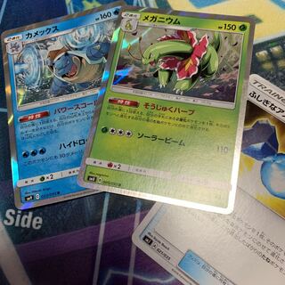 ｟おまけ付き｠メガニウム カメックス