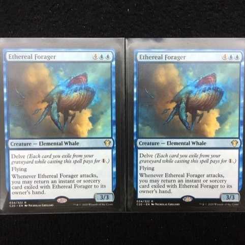 天上の餌あさり/Ethereal Forager　英語版　2枚