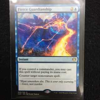 激情の後見/Fierce Guardianship