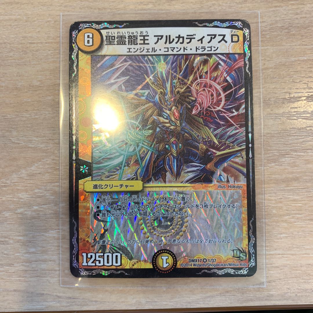 聖霊龍王 アルカディアスD
