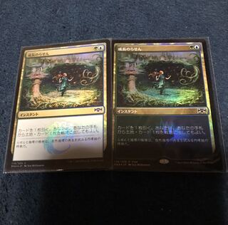 成長のらせん　foil２枚