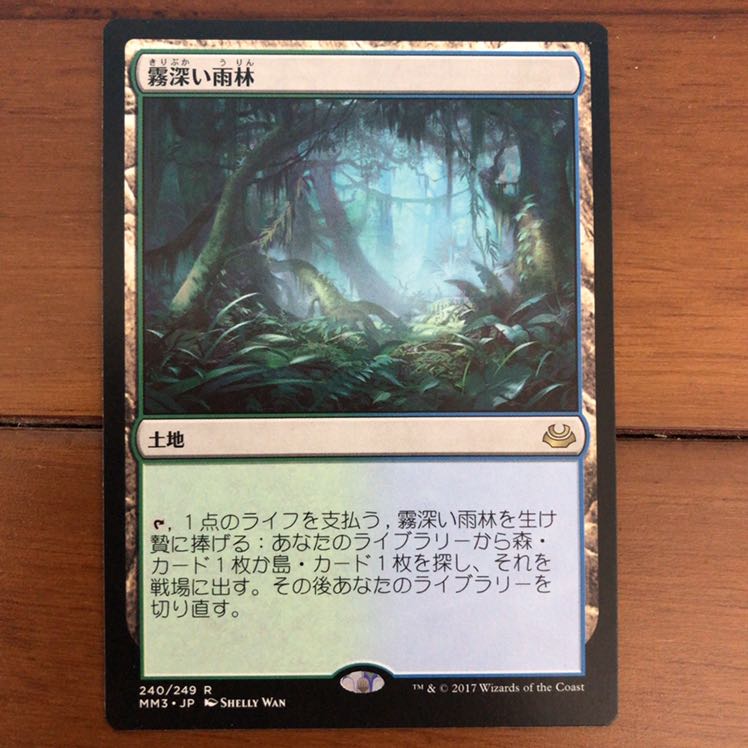 mtg 霧深い雨林