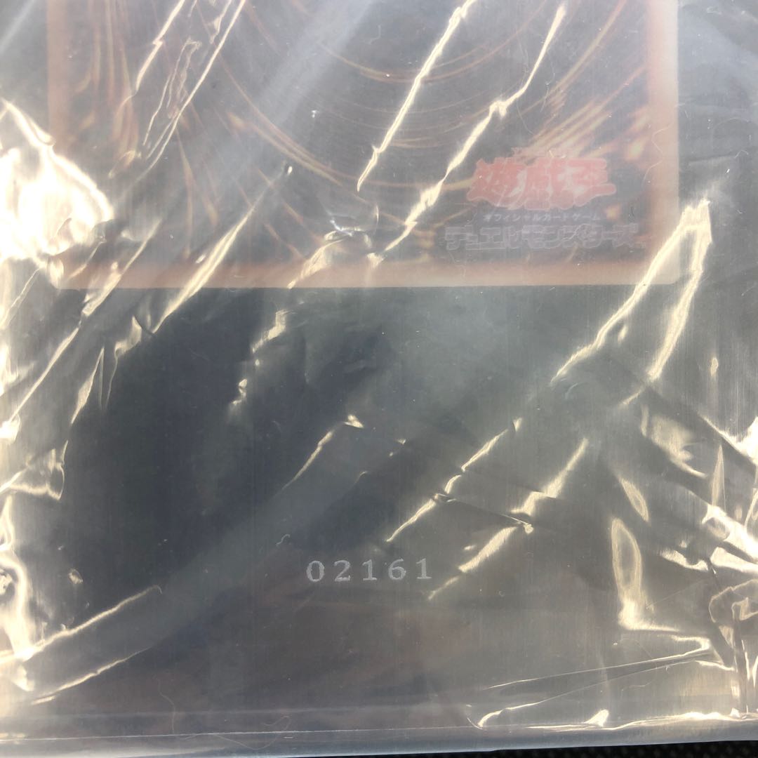 No.02161 Stainless Steel Black Magician Girl Management L