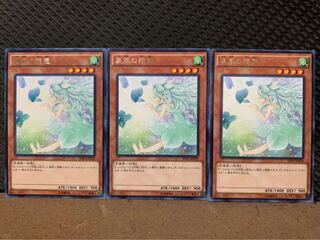 【ぽぽたん】遊戯王 9560 裏風の精霊 3枚 レア